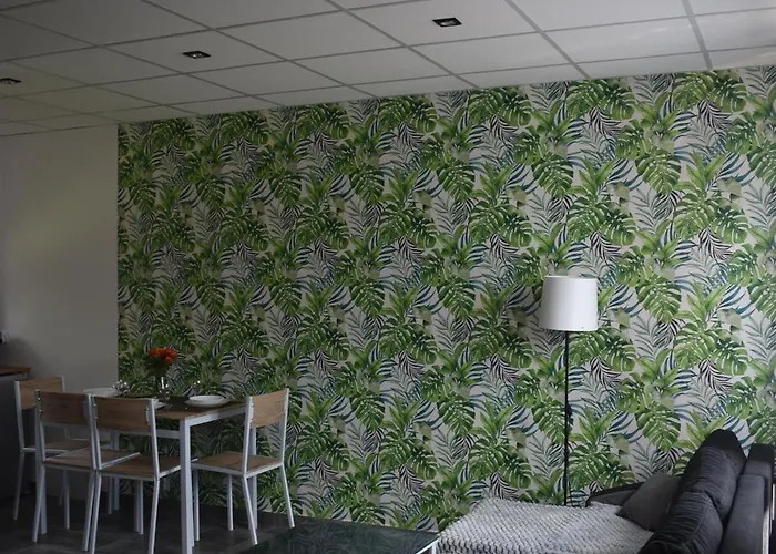 - Complex Appartement Zator